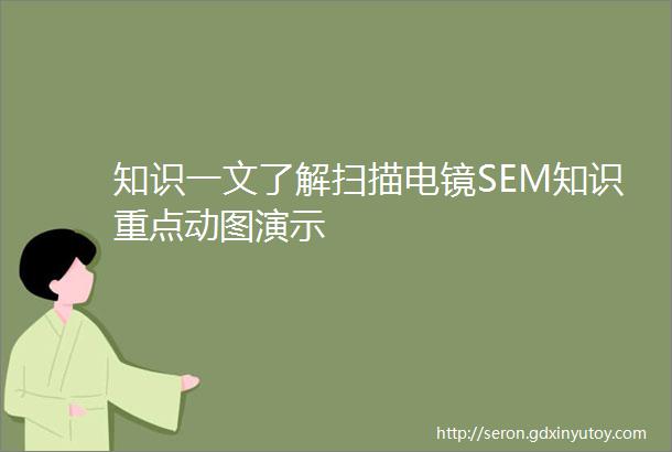 知识一文了解扫描电镜SEM知识重点动图演示